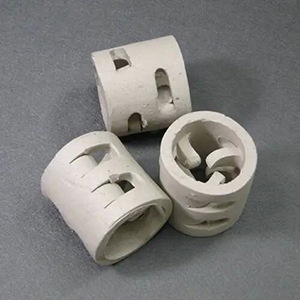 Ceramic Pall Ring Packing - Ceramic Random Packing